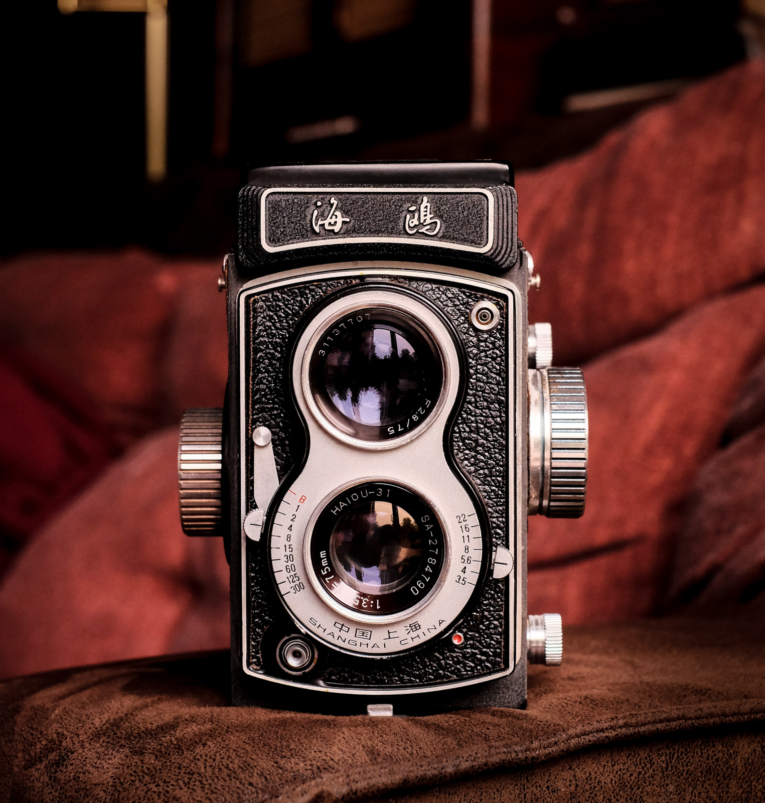 Medium Format Film Photography Series – Ottawa Wedding Photographer