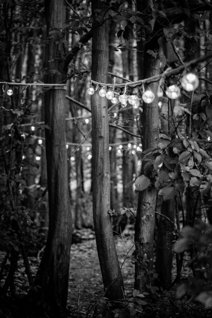 External image of the surrounding forest of an outdoor ceremony with fairly lights by Ottawa Wedding Photographer Sara