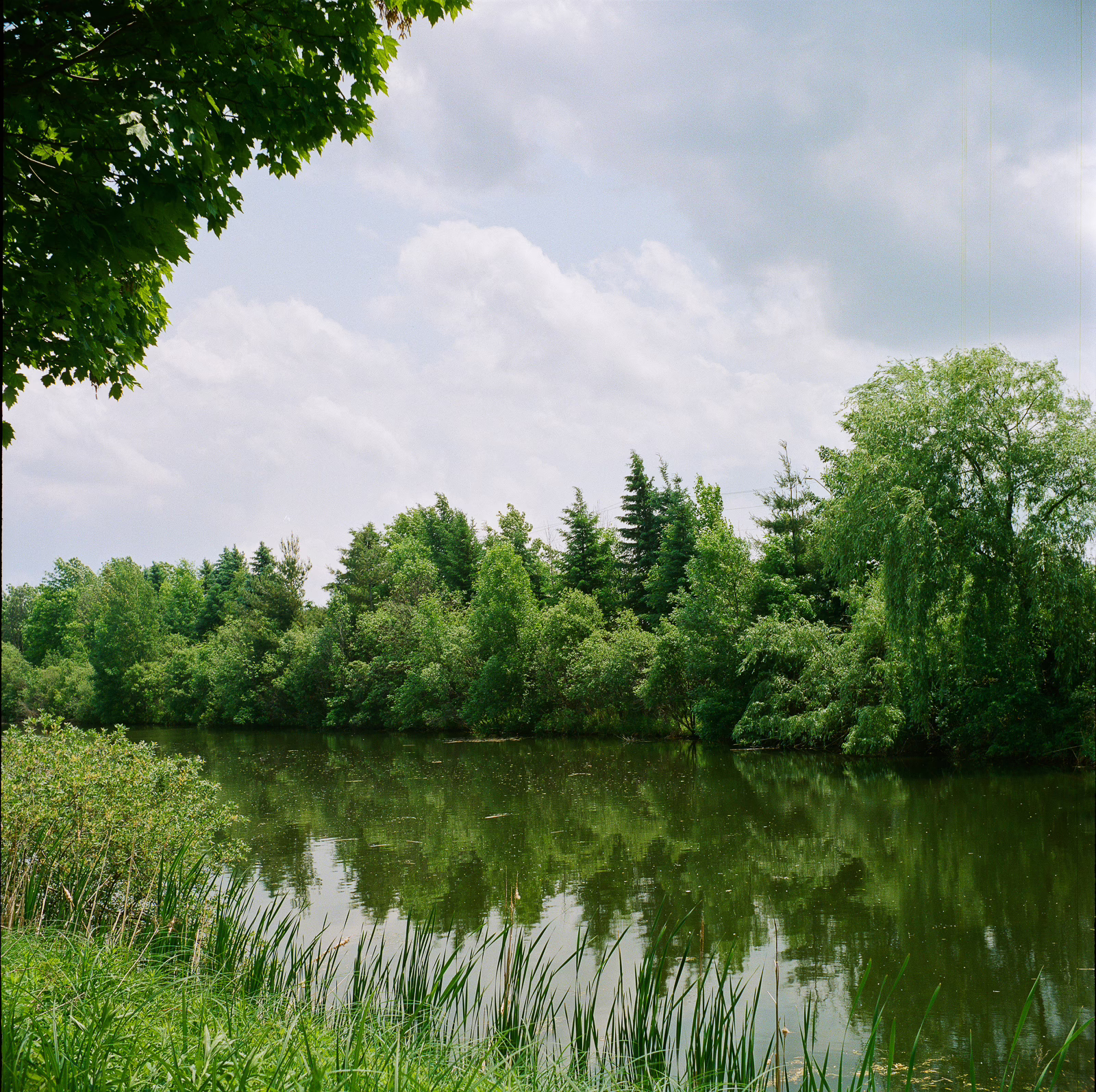 Ottawa Wedding Photographer-000123900009 ❥ Ottawa Wedding Photographer Local pond in Kanata taken with Seagull 4 TLR using Kodak Porta iso 800