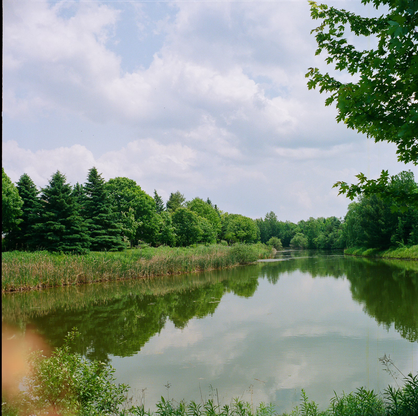 Ottawa Wedding Photographer-000123900010 ❥ Ottawa Wedding Photographer Local pond alt view in Kanata taken with Seagull 4 TLR using Kodak Porta iso 800